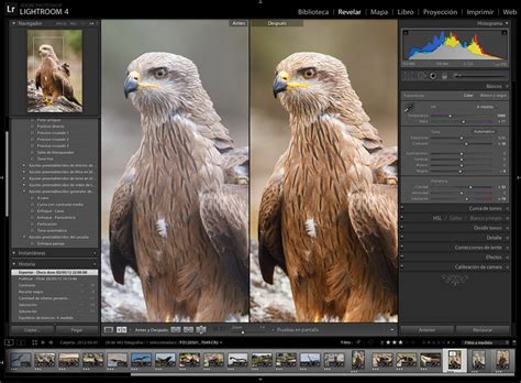 Guía Rápida De Revelado Raw Con Lightroom Lightroom Es