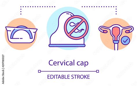 Cervical Cap Concept Icon Female Contraceptive Birth Control Device