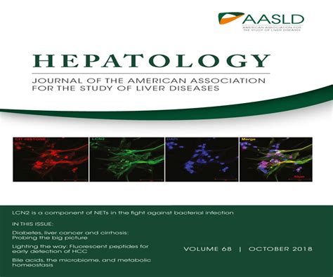 Bile Acids, Microbiota, and Metabolism : Hepatology