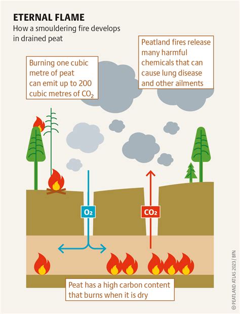 Succow Stiftung | Peatland Atlas 