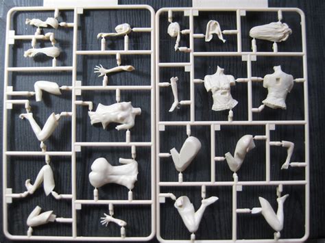 Amazon PLAMAX Naked Angel 1 20 北条麻妃 1 20スケール 組み立て式プラスチックモデル プラモデル 通販