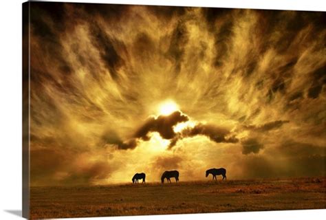 Wild Horses Wall Art, Canvas Prints, Framed Prints, Wall Peels | Great ...