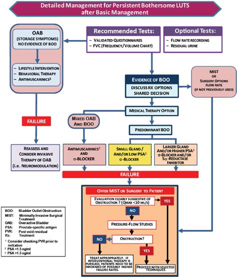 Update On Aua Guideline On The Management Of Benign Prostatic