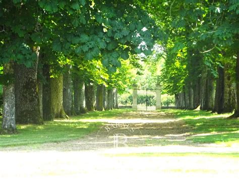 Remarkable Hotel Castle From The In Avallon, Bourgogne Franche Comté ...