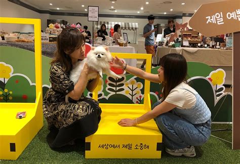 롯데아울렛 수완점 ‘반려동물 페스티벌 진행 광주매일신문