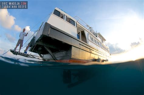 Photos Discovery Fleet Liveaboard Philippines