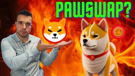 Pawswap E Uno Scam Oppure La Nuova Shiba Inu Potenziale Da X Non