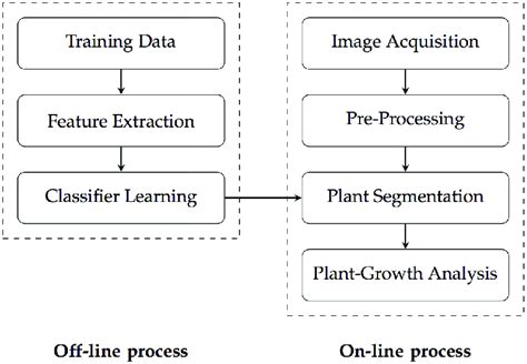 The Pipeline Of The Plant Phenotyping System Download Scientific Diagram