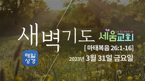 2023년 3월31일 금요일 매일성경qt 새벽예배 [나는 죽고 예수로 사는 시드니 세움교회] 마태복음 26 1 16 Youtube