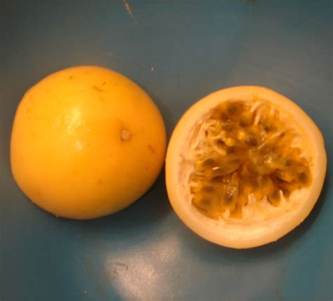 Polynesian Produce Stand Golden Passion Fruit 60 Seeds Yellow Lilikoi