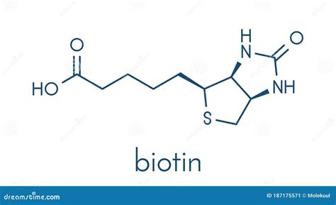 Mol Cula De Biotina De Vitamina B F Rmula Esquel Tica Ilustraci N