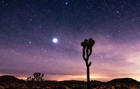 Desert Stars Wallpaper