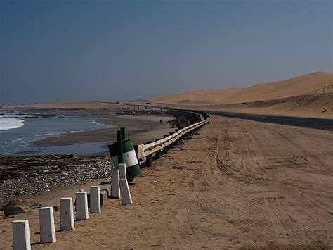 Stevenzo - Steven Adler's: Walvis Bay Flamingos