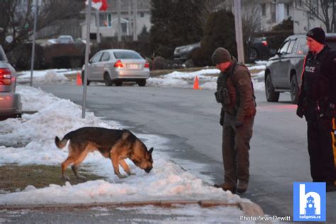 Police Request Assistance To Identify Suspect After Shots Fired In Cole Harbour Haligonia Ca