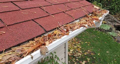 5 Common Gutter Issues And Their Solutions