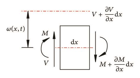 The Force Analysis Of The Infinitesimal Body Download Scientific Diagram