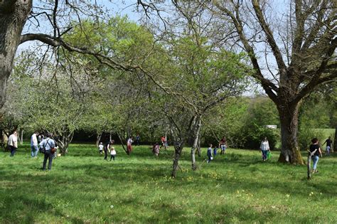 La Grande Chasse Aux Ufs Chateau De Vaux