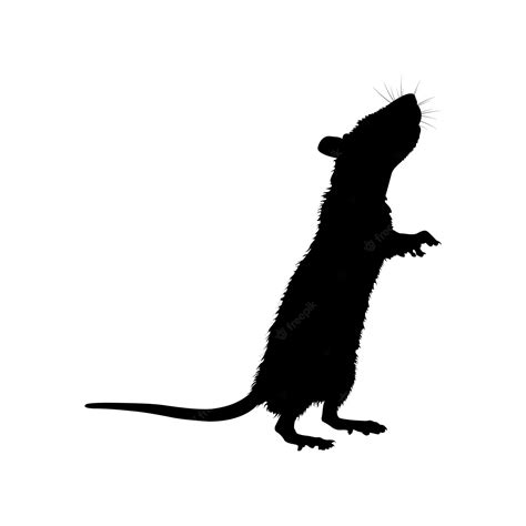 Premium Vector Standing Black Rat Silhouette Vector