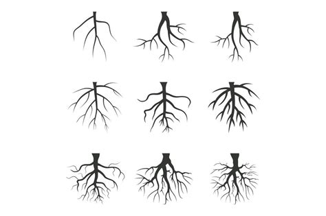 root graphic  design creative fabrica