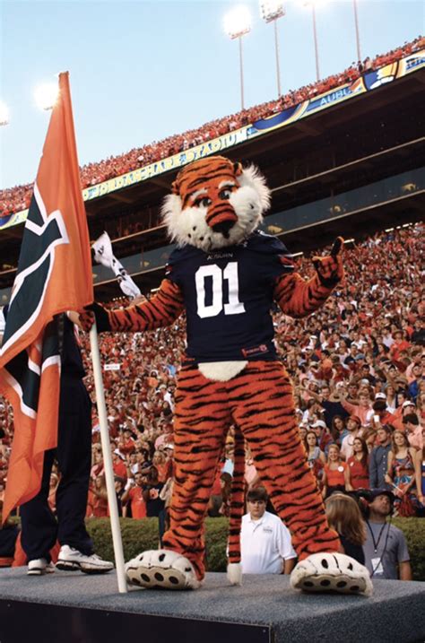 A Brief History Of Aubie The Tiger