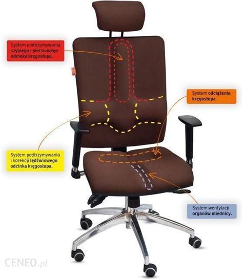 Kulik System Fotel Ergonomiczny Galaxy Ceny I Opinie Ceneo Pl