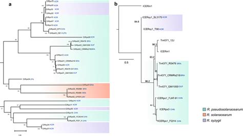 Maximum Likelihood Phylogeny Analysis Based On Conserved Markers To