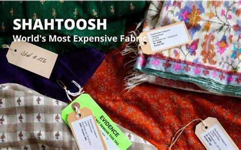 Story of Shahtoosh: World's Most Expensive Fabric