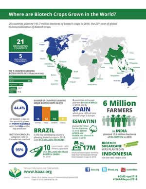 Infographics Illustrations Biotech Information Resources Isaaa Org