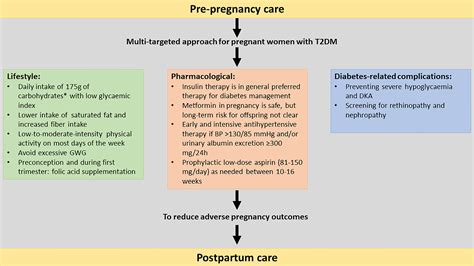 Frontiers Management Of Type 2 Diabetes In Pregnancy A Narrative Review