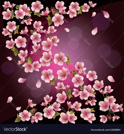 Background With Sakura Japanese Cherry Tree Vector Image