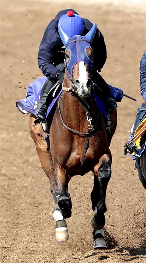 【大阪杯・松末の特注馬】ローシャムパークに反撃ムード 田中博調教師「フィジカルは今年になって向上」 ライブドアニュース