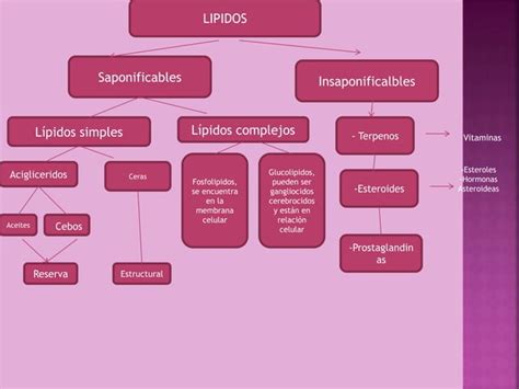 Biomoleculas Ppt