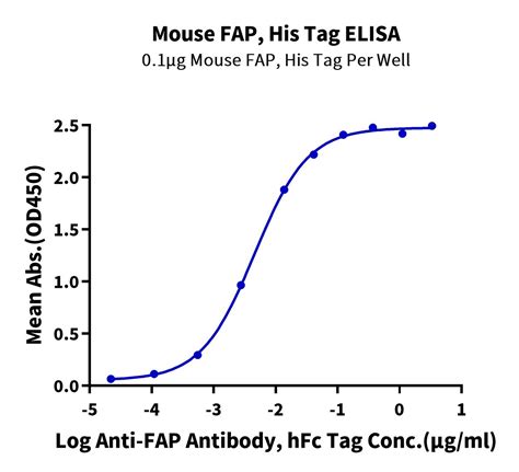 Mouse Fap Protein Fap Mm101 Kactus
