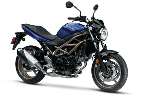 2024 Suzuki SV650 ABS Guide Total Motorcycle