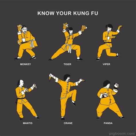 Kung Fu Styles | Kung fu martial arts, Martial arts training, Self ...