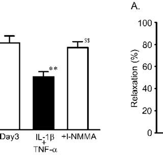 Effect Of L Nmma On Suppression Of Trypsin Induced Relaxation And Par