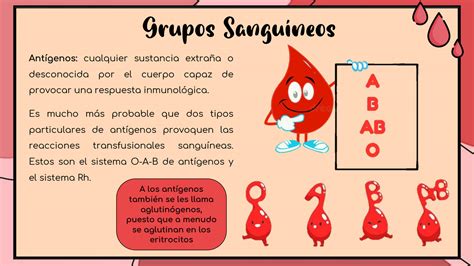 Solution Fisiologia Grupos Sanguineos Studypool