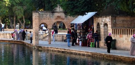 Pool of Abraham (Balikli Göl) : Sanliurfa, Turkey : Turkish Travel Blog