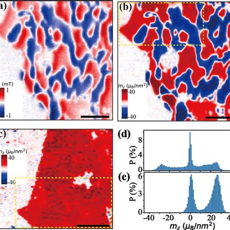 Pdf Magnetic Domains And Domain Wall Pinning In Two Dimensional