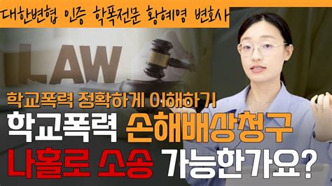 학폭 손해배상청구 나홀로 소송 가능한가요 L 학교폭력전문변호사 황혜영 변호사가 알려드립니다 Youtube