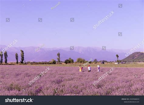 1,562 Gabala Azerbaijan Images, Stock Photos & Vectors | Shutterstock