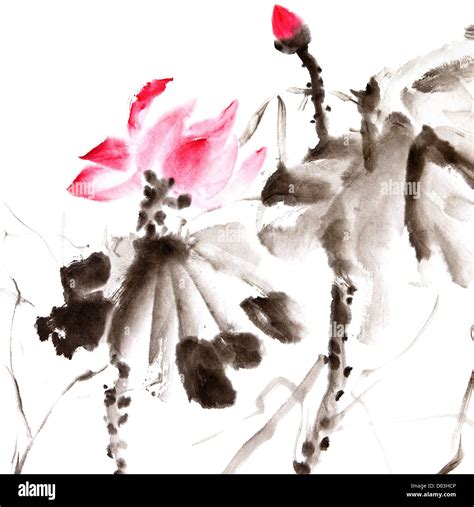 Lotus Chinese Traditional Ink Painting Artwork With Color Stock Photo