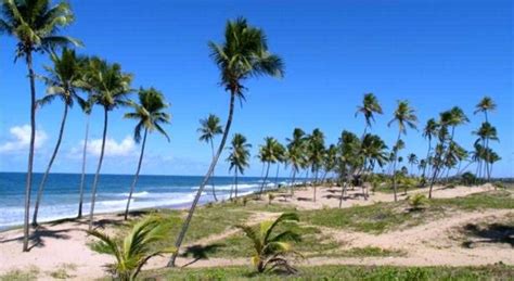 Village Piru Private Beach Em Arembepe Bahia