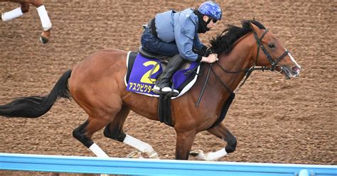 【天皇賞・春】アスクビクターモアは前走大敗もひと叩きで巻き返しムード サンスポzbat