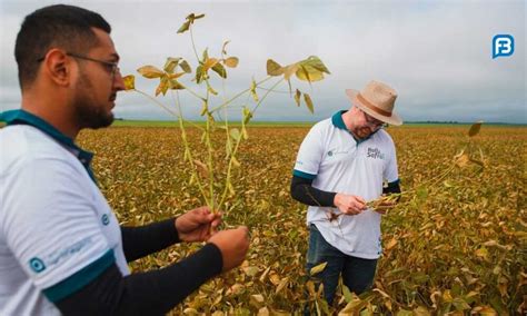 Oeste da Bahia recebe técnicos do Rally da Safra para avaliar lavouras