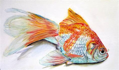 Goldfish Painting at PaintingValley.com | Explore collection of Goldfish Painting