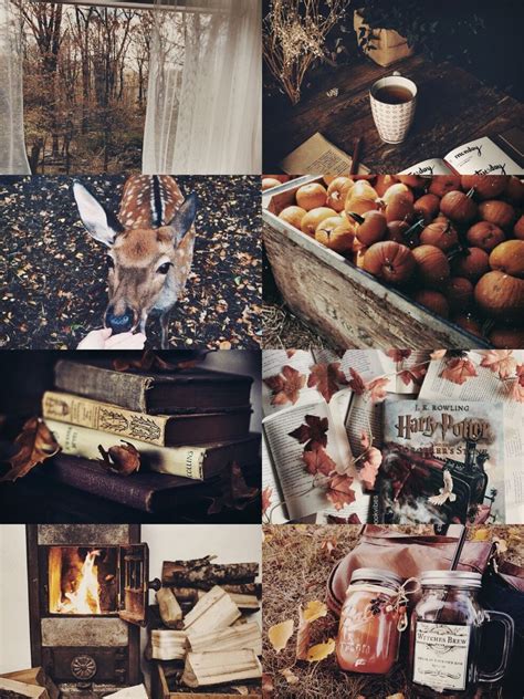 J E S S Autumn Magic Autumn Aesthetic Autumn Inspiration