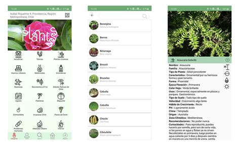 Las Mejores Apps Para Cuidar Plantas