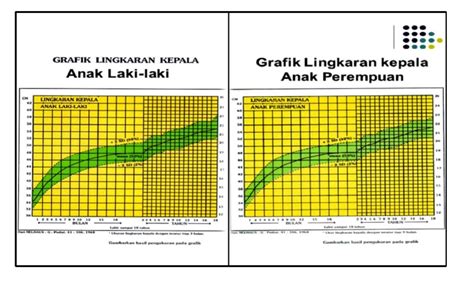 Lingkar Kepala Pdf