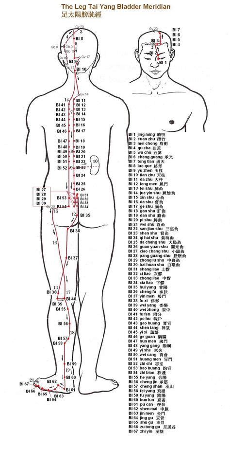 Chart Of Acupuncture Points